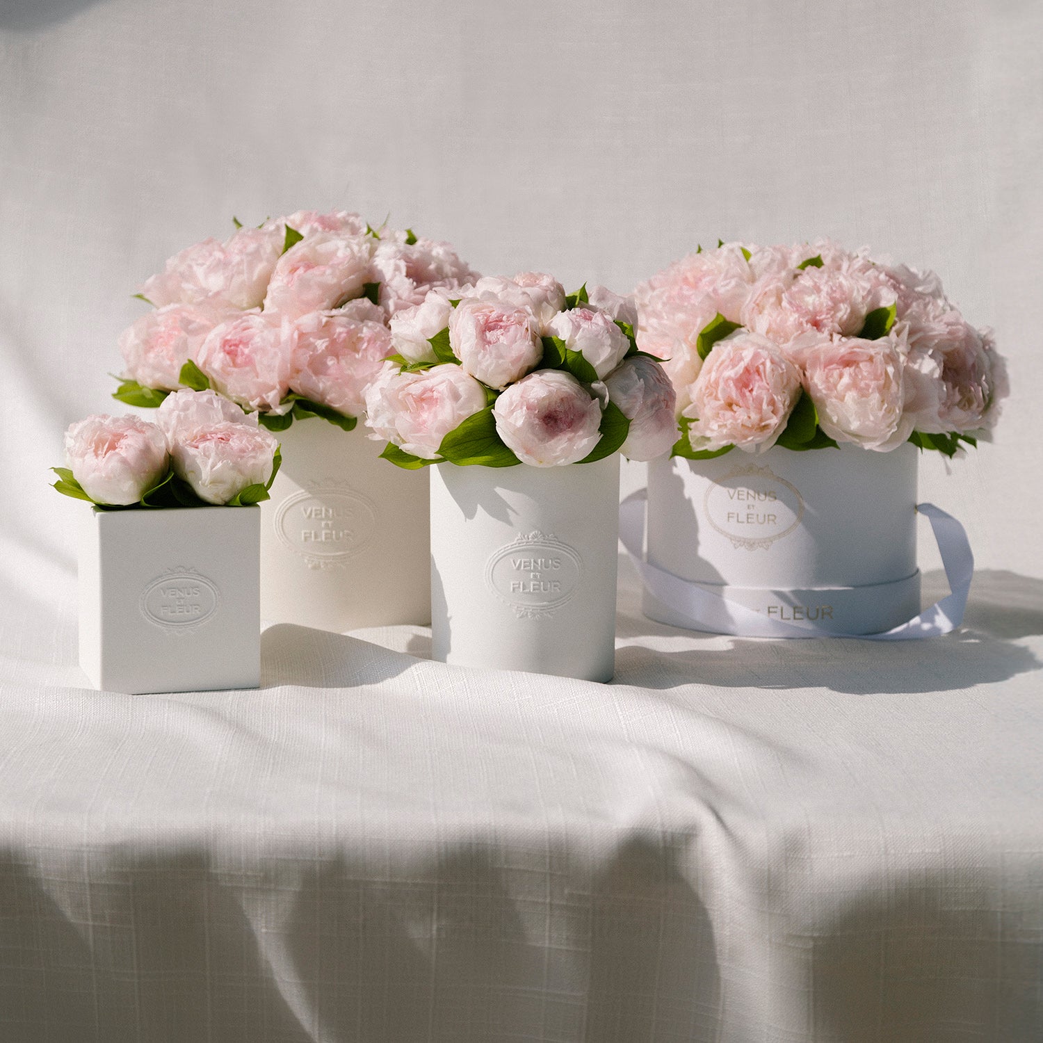 Eternity® Peonies