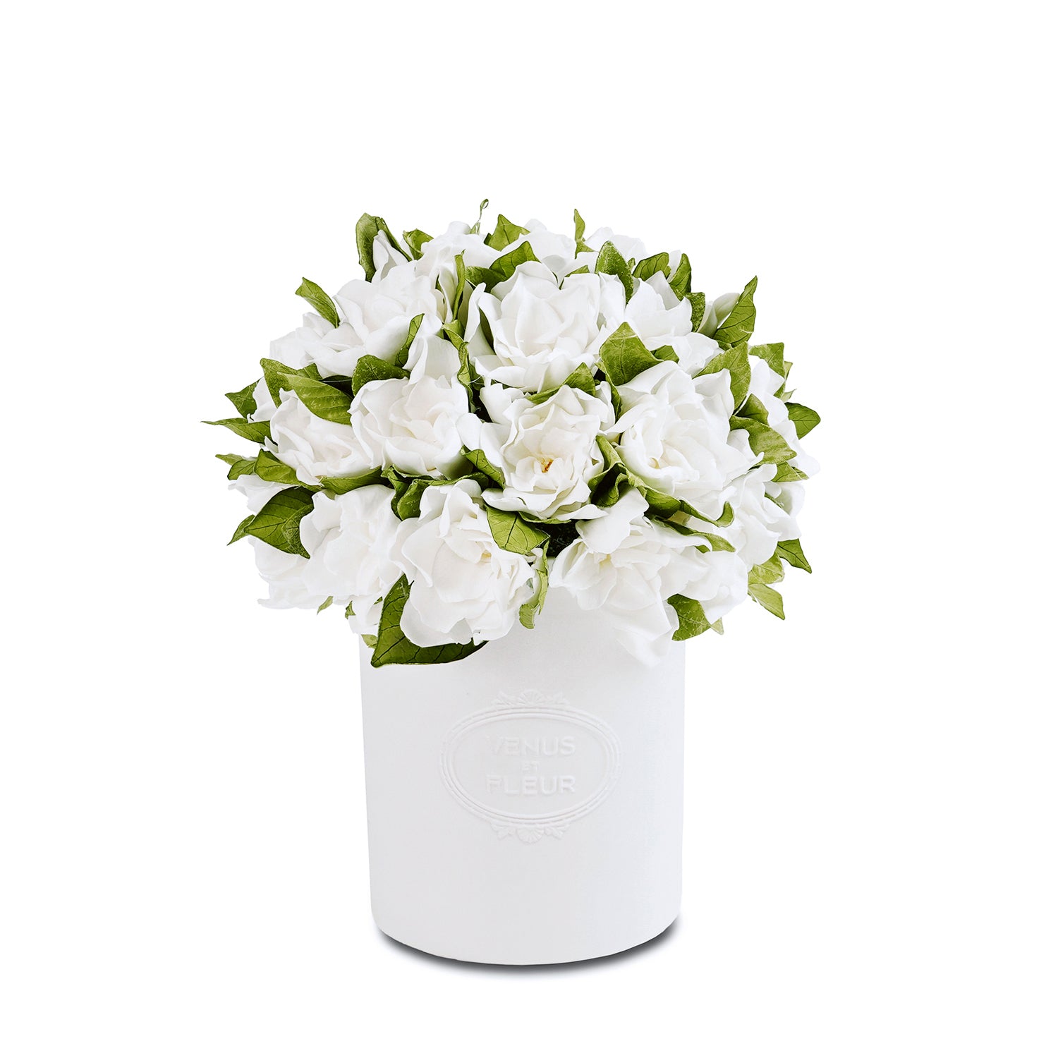 Fleura Porcelain Vase